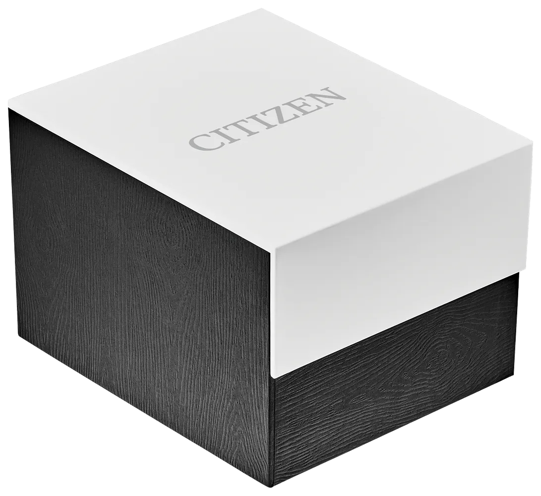 CITIZEN Quartz Ladies Watch EQ2004-95A