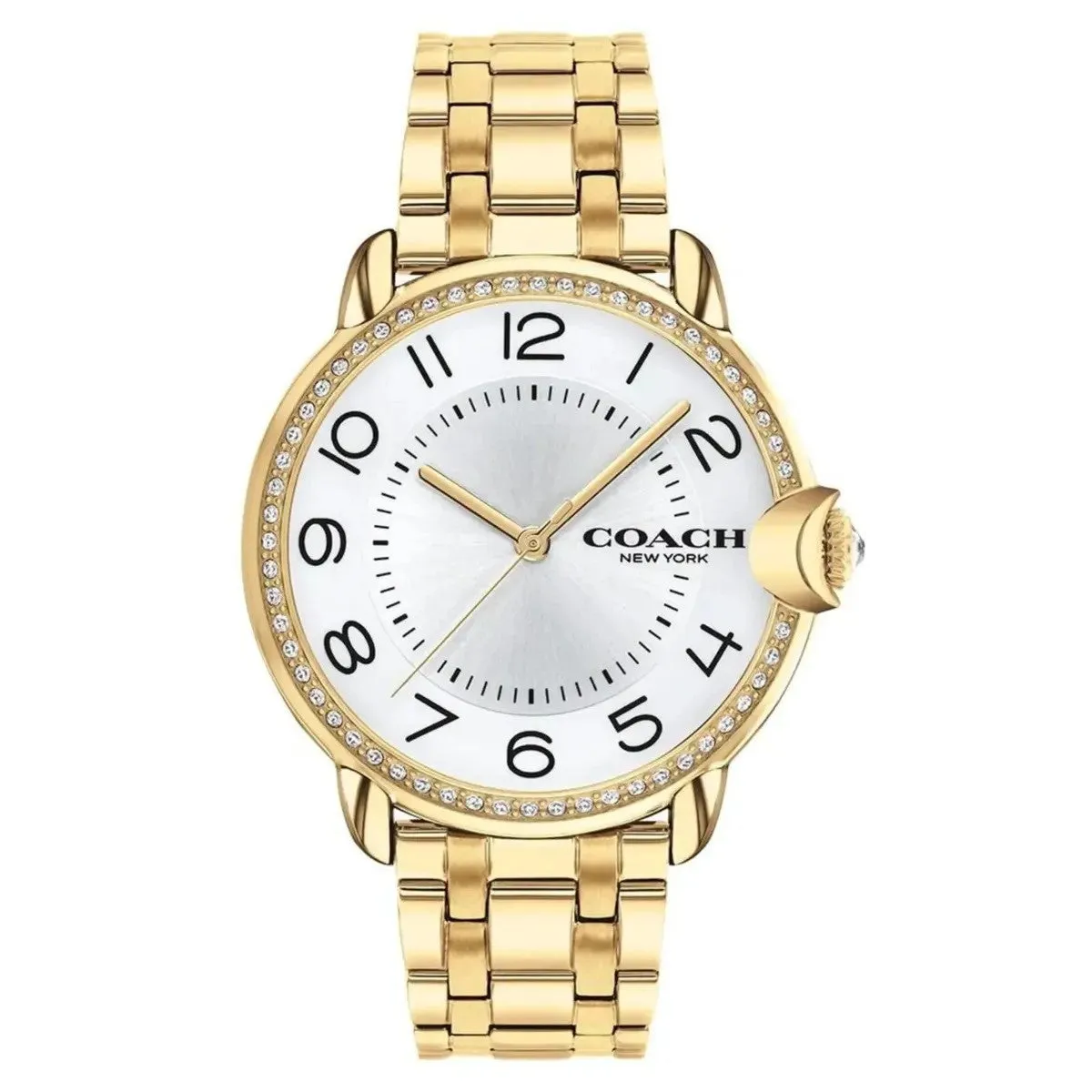 Coach Women's Arden 36mm Quartz Watch 14503810